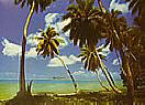Tahiti 4036 Large tropical Wall murals