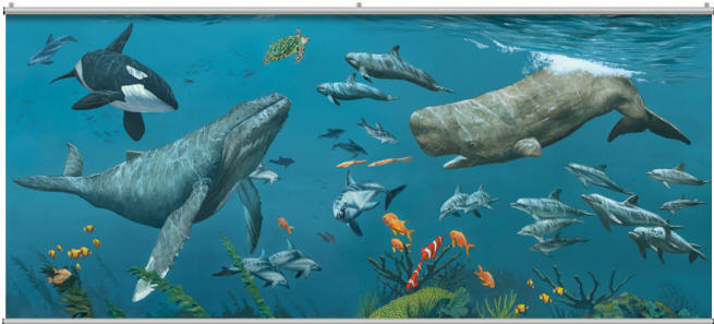 Deep Sea Whales Wall Mural
