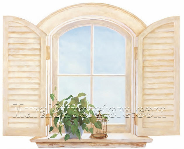 Country Window With Shutters KT8579M Mural by York