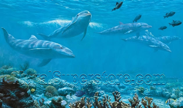 Dolphin Wall Mural MP4958M by York