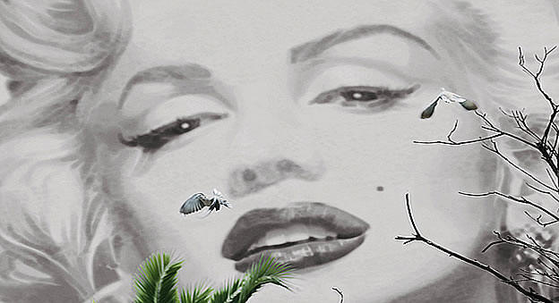 Marilyn  Cannes mural