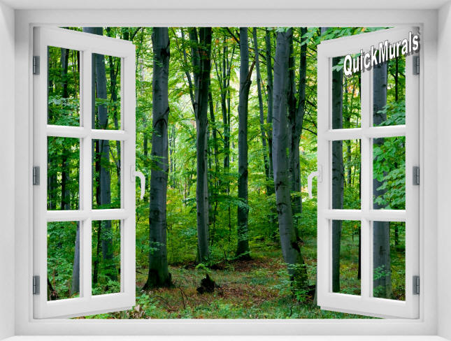 Woodland Forest Window