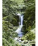 Waterfall In Spring 364 discount wall murals