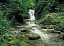 Waterfall, Black Forest  Large Wall murals