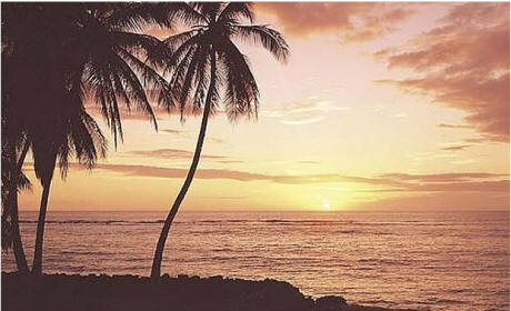 Hawaiian Sunset Wall Mural C381