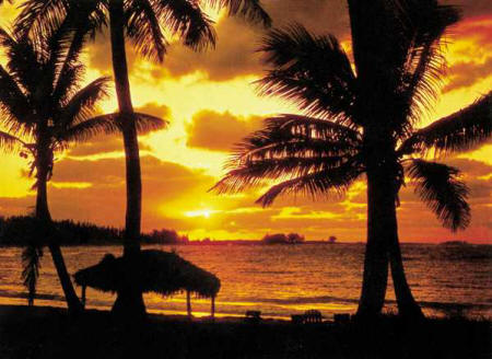 Caribbean Sunset Wall Mural 3914