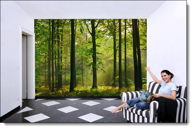 Autumn Forest Wall Mural by Ideal Decor 216 DM216