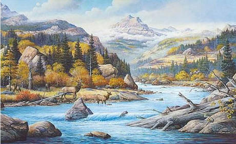 Elk Country Wall Mural C827