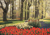 Floral Tulips and Trees DS8082 Wall Mural