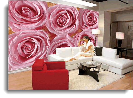 Pink Lady Wall Mural 8138